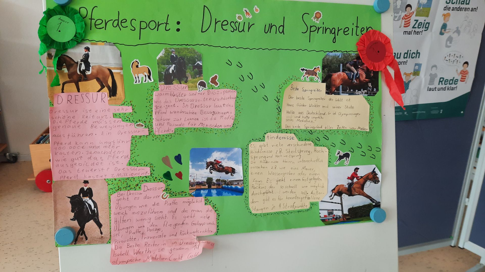Ein Poster einer Schülerin zu ihrer Präsentation über Pferdesport